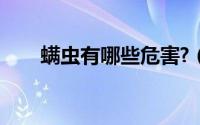 螨虫有哪些危害?（螨虫的几大危害）
