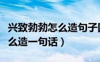 兴致勃勃怎么造句子四年级上册（兴致勃勃怎么造一句话）