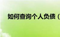 如何查询个人负债（如何查询个人轨迹）