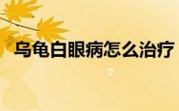 乌龟白眼病怎么治疗（乌龟白眼病怎么治）