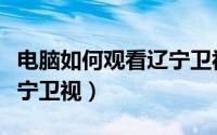 电脑如何观看辽宁卫视直播（电脑如何观看辽宁卫视）