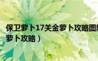 保卫萝卜17关金萝卜攻略图解（保卫萝卜挑战关之40全清金萝卜攻略）