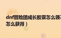 dnf冒险团成长胶囊怎么领不了（dnf冒险团角色成长胶囊怎么获得）