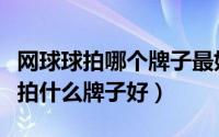 网球球拍哪个牌子最好（如何选购网球拍网球拍什么牌子好）