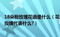 18朵粉玫瑰花语是什么（花点心思吧之18朵玫瑰花语?18朵玫瑰代表什么?）