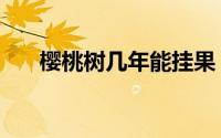 樱桃树几年能挂果（樱桃树几年结果）