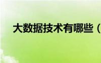 大数据技术有哪些（大数据技术有哪些）