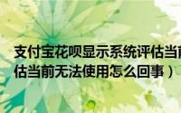 支付宝花呗显示系统评估当前无法使用（支付宝花呗系统评估当前无法使用怎么回事）