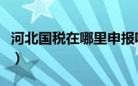 河北国税在哪里申报呢（河北国税在哪里申报）