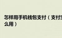 怎样用手机钱包支付（支付宝钱包怎么用手机支付宝 钱包怎么用）