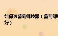 如何选葡萄绑枝器（葡萄绑枝蔓是用绑枝机好还是绑枝卡扣好）