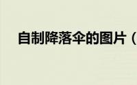 自制降落伞的图片（自制降落伞的做法）