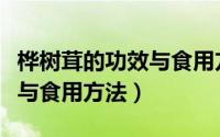 桦树茸的功效与食用方法禁忌（桦树茸的功效与食用方法）