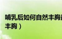 哺乳后如何自然丰胸最有效（哺乳后如何自然丰胸）