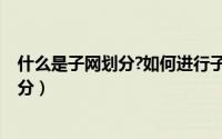 什么是子网划分?如何进行子网划分?（如何快速进行子网划分）