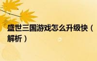 盛世三国游戏怎么升级快（《盛世三国》快速冲级攻略科学解析）