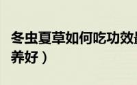冬虫夏草如何吃功效最好（冬虫夏草如何吃营养好）