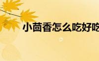 小茴香怎么吃好吃（小茴香怎么吃）