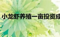 小龙虾养殖一亩投资成本（小龙虾养殖教程）
