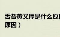舌苔黄又厚是什么原因（舌苔厚黄是因为什么原因）