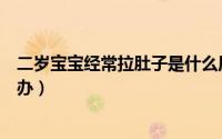 二岁宝宝经常拉肚子是什么原因（二岁宝宝经常拉肚子怎么办）