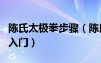 陈氏太极拳步骤（陈氏太极拳教程太极拳基础入门）