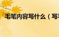 毛笔内容写什么（写毛笔作品的内容说明）