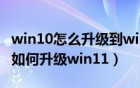win10怎么升级到win11正式版（正版win10如何升级win11）