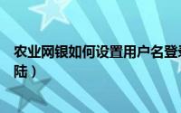 农业网银如何设置用户名登录（农行网银如何设置用户名登陆）