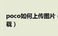 poco如何上传图片（POCO相册图片如何下载）