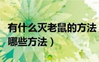 有什么灭老鼠的方法（如何灭老鼠灭老鼠都有哪些方法）
