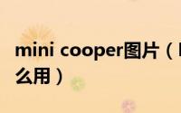 mini cooper图片（MINI COPPER的导航怎么用）