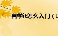 自学it怎么入门（IT初学者怎么入门）