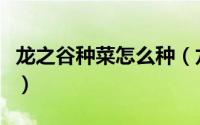 龙之谷种菜怎么种（龙之谷农场怎么栽培种植）