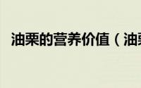 油栗的营养价值（油栗的营养价值与功效）