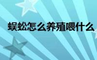 蜈蚣怎么养殖喂什么（蜈蚣怎么养殖方法）