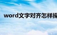 word文字对齐怎样操作（word文字对齐）