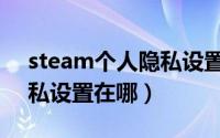 steam个人隐私设置在哪里（steam个人隐私设置在哪）