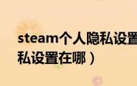 steam个人隐私设置在哪里（steam个人隐私设置在哪）