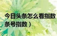 今日头条怎么看指数（如何提高今日头条的头条号指数）
