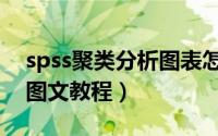 spss聚类分析图表怎么缩小（spss聚类分析图文教程）