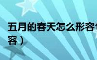 五月的春天怎么形容句子（五月的春天怎么形容）