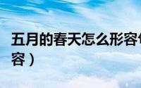 五月的春天怎么形容句子（五月的春天怎么形容）