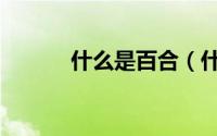 什么是百合（什么是百度快照）