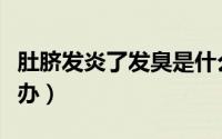 肚脐发炎了发臭是什么原因（肚脐发炎了怎么办）