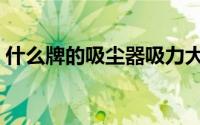 什么牌的吸尘器吸力大（什么牌的吸奶器好）