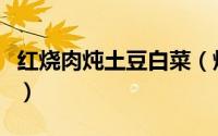 红烧肉炖土豆白菜（烧猪肉炖土豆白菜的做法）