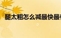 腿太粗怎么减最快最有效（腿太粗怎么减）