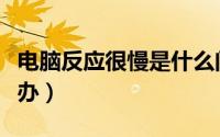电脑反应很慢是什么问题（电脑反应很慢怎么办）