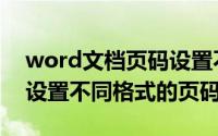 word文档页码设置不同的格式（word怎么设置不同格式的页码）